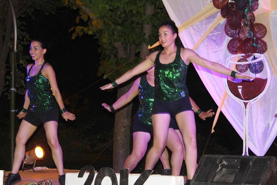 vendimia alvear oeste 2016 sdaf a. jpg