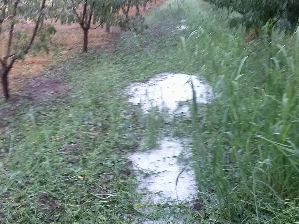 desastre finca 2