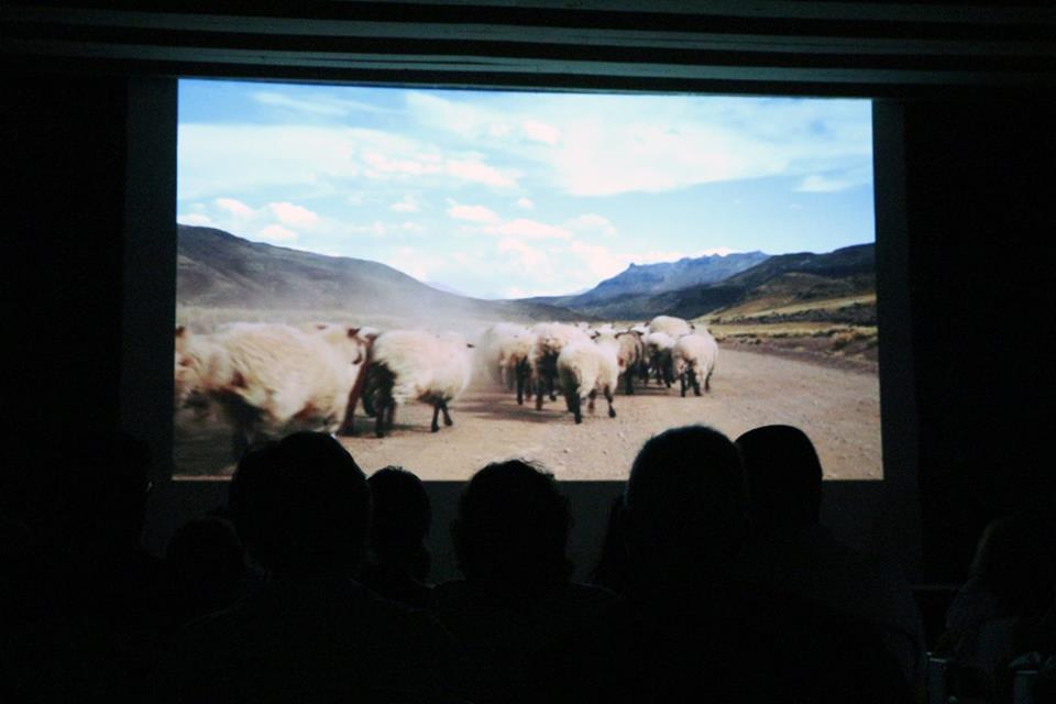 arreo-film-3