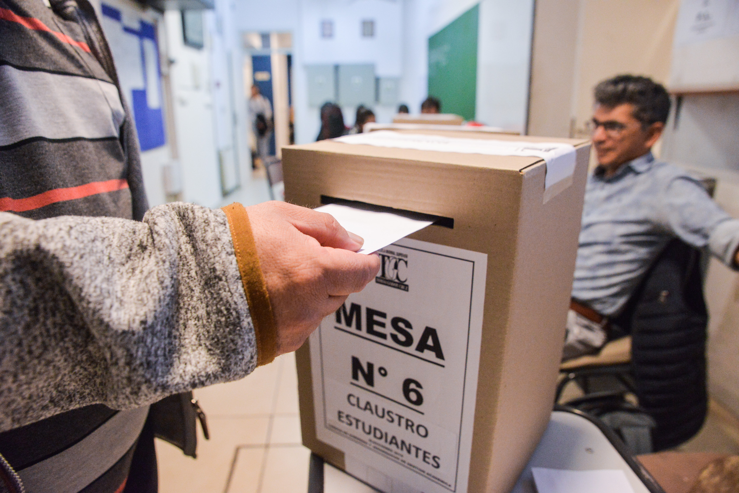 Estos Son Resultados Oficiales De Las Elecciones Paso En Los Siete