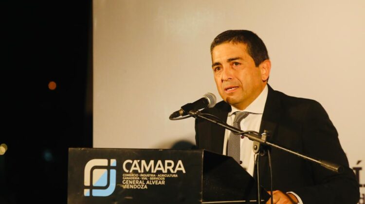 Walter Marcolini, Intendente Departamental