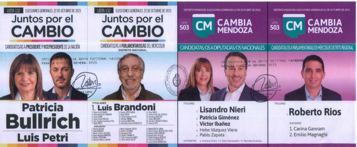 Estas Son Las Boletas Oficializadas Para Las Elecciones Presidenciales